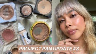 Project Pan Update #3