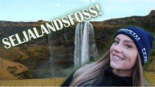 A roadtrip in ICELAND! - Vlog
