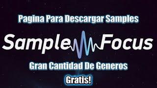 "SAMPLE FOCUS" Descarga Samples Gratis!