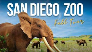 San Diego Zoo Guide: FULL TOUR, Animals, Tour, Shows and More!