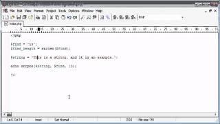 Beginner PHP Tutorial - 48 of 200 - String Functions String Position Part 1  (www.dynamicwebart.com)