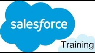 2. Salesforce - Working with Leads and Opportunities