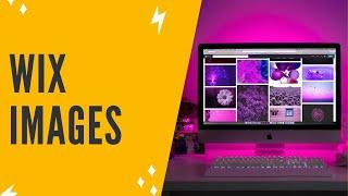 WIX IMAGES: How To Upload & Change Images On Your Wix Website