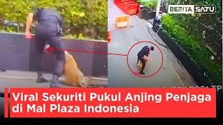 Viral Sekuriti Pukul Anjing Penjaga di Mal Plaza Indonesia | Beritasatu