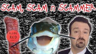 The Forgotten & Failed Scams of the Innocent Internet