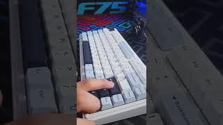 Aula F75 Keyboard ASMR  #keyboardasmr #keyboard #asmr #typingasmr