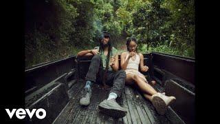 Protoje, Zion I Kings - Weed & Tings (Visualizer)