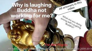 Laughing Buddha Feng Shuii cure not working for you?All the answers What is wrong with Buddha cure?