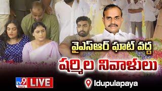 YS Sharmila LIVE | వైఎస్ఆర్ కు షర్మిల నివాళులు @ Idupulapaya Ghat - TV9