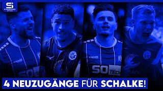 Trotz Abstieg gut für Schalke? Diese Spieler von Rostock & Osnabrück können helfen! | S04 Analyse