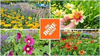 July 2024 Home Depot Garden Center Plants Perennials & Shrubs NEW ARRIVALS!