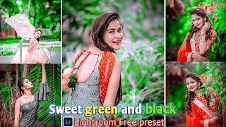 Sweet Green And Black tone Lightroom preset || Lightroom Presets Free Download || free presets