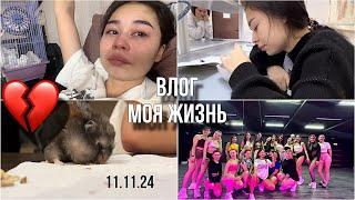 влог|| неделя из моей жизни|| её больше нет с нами️