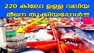 Fishing Video | Sea Fish | Kerala Biggest Fish Harbor