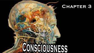 Consciousness - The Vanishing Mediator | Ch. 3 of the Parallax View | Zizek