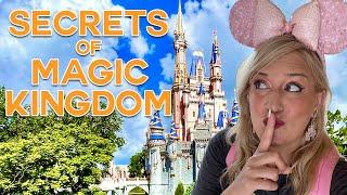 The BEST KEPT SECRETS of Disney World's Most Popular Rides: Magic Kingdom