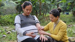 Maya Takes Care Of Pregnant Women & Harvests White Eggplants Together Goes To Market Sell