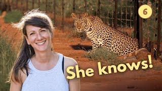 Where do the leopards go when they leave The Hoedspruit Wildlife Estate? [S1:E6]