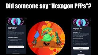 Twitter and the Hexagon PFPs...