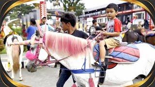 KUDA KUNINGAN - KUMPULAN VIDEO KUDA - KUDA PACU - KUDA LUMPING - KUDA TUNGGANG - HORSE FUN - VIRAL