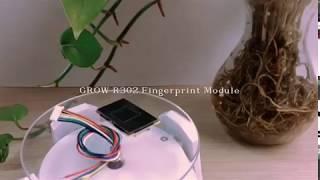 GROW R302 Capacitive Fingerprint Sensor Module