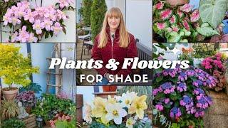 10 Plants & Flowers For a Shade Container Garden