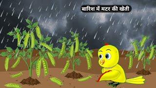 बारिश में मटर की खेती | Chidiya wala cartoon | कहानी हिन्दी | katun | cartoon video.