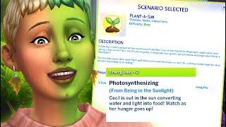 Creating THE PERFECT Plant Sim 