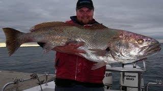 Mulloway Jewfish Fishing - Goliath to 60lb - Western Port.