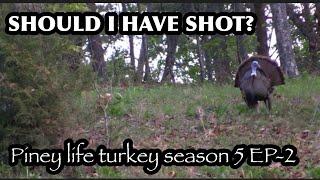 SHOULD I HAVE SHOT? Piney life Turkey season 5 ep-2!