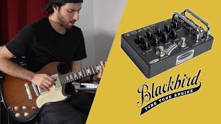 Effectrode BlackBird Preamp | A Tube Amp in a Pedal 