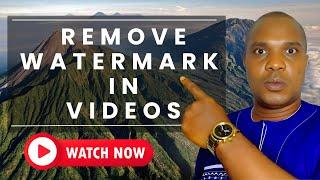How To Remove Watermark In Image And Video 2023 — Easy Method