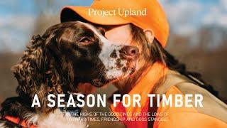 Grouse Hunting with Springer Spaniels - Pennsylvania Bird Hunting - A Season for Timber