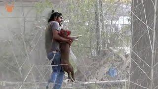 Mother Dog Bleeding Out Laying on Garbage After Attack in Abandoned House / Big League Texas Rescue