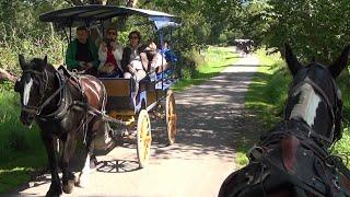 KILLARNEY, IRELAND Jaunting Cars