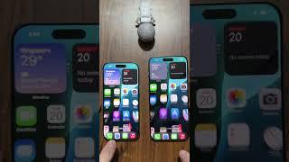 iPhone 16 Pro vs iPhone 16 Pro Max