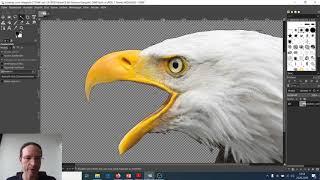 GIMP: Bildbearbeitung, Teil 3a - Freistellen/ Zauberstab