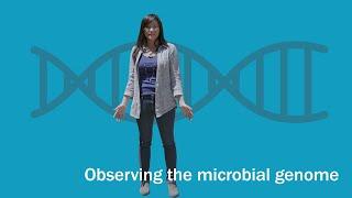 Basics2Breakthroughs: Observing the microbial genome