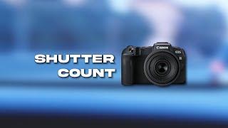 How To Check The Shutter Count On Canon R Cameras For Free