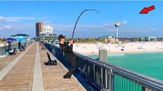 Caught the Biggest One of the Year at the Gulf Pier! *Catch, Clean, & Cook*