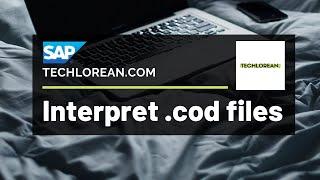 HOW TO INTERPRET .COD FILES SAP | TUTORIAL | SAP CONSULTANT