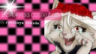 ВСЯ ЖИЗА castle cats•rysinaya zvezda