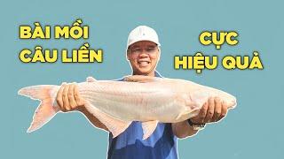 Bài Mồi Câu Cá Nhanh Hiệu Quả Siêu Nhạy | Mồi Câu Cá | Chung Nguyễn Fishing