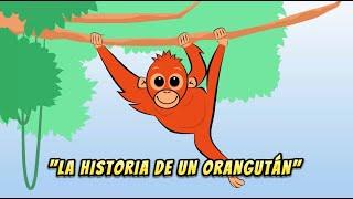 LA HISTORIA DE UN ORANGUTÁN - CANCIÓN INFANTIL. #cancionesdeanimales #cancioneseducativas