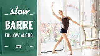 Follow Along Barre for Beginners | Lazy Dancer Tips