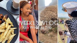 #weeklyvlog | KZN Traditional Wedding | Bake with me ‍️