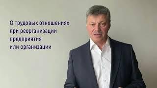 Кейсы от Ветлужских - кейс 144 - О трудовых отношениях при реорганизации предприятия или организации