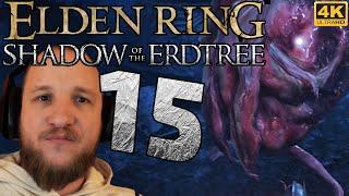 Lets Play Elden Ring Shadow of the Erdtree [DLC] (Deutsch) - [4K] #15 - Fleischkloß 