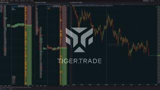 Настройка терминала TigerTrade | Бесплатный терминал для скальпинга