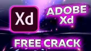 adobe xd download / adobe xd free / adobe xd free 2022 / free download